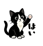 ハチワレ猫の毎日スタンプ（個別スタンプ：4）