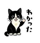 ハチワレ猫の毎日スタンプ（個別スタンプ：5）