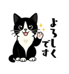 ハチワレ猫の毎日スタンプ（個別スタンプ：6）