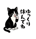 ハチワレ猫の毎日スタンプ（個別スタンプ：10）