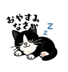 ハチワレ猫の毎日スタンプ（個別スタンプ：11）