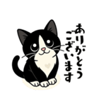 ハチワレ猫の毎日スタンプ（個別スタンプ：12）