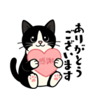 ハチワレ猫の毎日スタンプ（個別スタンプ：13）