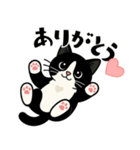 ハチワレ猫の毎日スタンプ（個別スタンプ：14）