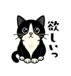 ハチワレ猫の毎日スタンプ（個別スタンプ：18）