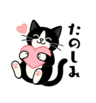 ハチワレ猫の毎日スタンプ（個別スタンプ：19）
