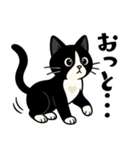 ハチワレ猫の毎日スタンプ（個別スタンプ：23）