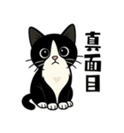 ハチワレ猫の毎日スタンプ（個別スタンプ：24）
