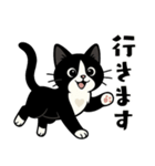 ハチワレ猫の毎日スタンプ（個別スタンプ：25）