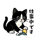 ハチワレ猫の毎日スタンプ（個別スタンプ：26）