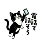 ハチワレ猫の毎日スタンプ（個別スタンプ：30）