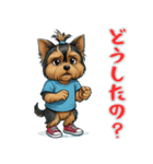 ヨークシャーテリアの喜怒哀楽スタンプ1（個別スタンプ：11）