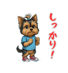 ヨークシャーテリアの喜怒哀楽スタンプ1（個別スタンプ：12）