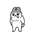 うさぎーまちこ（変身チャートver.）（個別スタンプ：20）