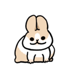 うさぎーまちこ（変身チャートver.）（個別スタンプ：34）