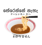 醤油 ラーメン です 【シンハラ語】（個別スタンプ：7）