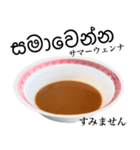 醤油 ラーメン です 【シンハラ語】（個別スタンプ：13）