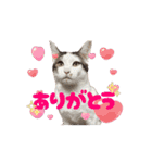 もふもふフレンド(part1)（個別スタンプ：2）