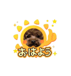 もふもふフレンド(part1)（個別スタンプ：5）
