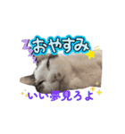もふもふフレンド(part1)（個別スタンプ：6）