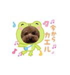 もふもふフレンド(part1)（個別スタンプ：11）