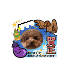 もふもふフレンド(part1)（個別スタンプ：16）