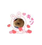 ハムのおこげちゃん（個別スタンプ：16）