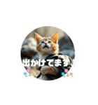 猫 動く、使えるスタンプ（個別スタンプ：5）