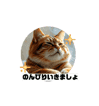 猫 動く、使えるスタンプ（個別スタンプ：14）