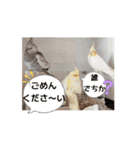 かわいい仲間たち5963（個別スタンプ：3）
