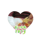 かわいい仲間たち5963（個別スタンプ：5）
