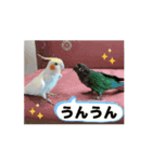 かわいい仲間たち5963（個別スタンプ：9）