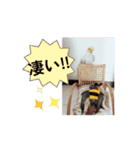 かわいい仲間たち5963（個別スタンプ：10）