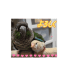 かわいい仲間たち5963（個別スタンプ：11）
