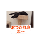 ランマカテトシリサワーベアー（個別スタンプ：1）