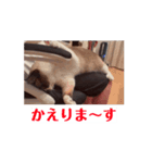ランマカテトシリサワーベアー（個別スタンプ：2）