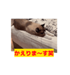 ランマカテトシリサワーベアー（個別スタンプ：4）