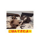 ランマカテトシリサワーベアー（個別スタンプ：7）