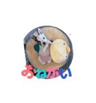 フレブルいちの日常（個別スタンプ：6）