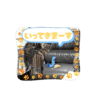 ちょびのスタンプ1（個別スタンプ：4）