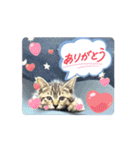 ちょびのスタンプ1（個別スタンプ：9）