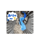 ちょびのスタンプ1（個別スタンプ：15）