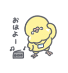 夏だ！セキセイインコちゃん（個別スタンプ：2）