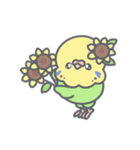 夏だ！セキセイインコちゃん（個別スタンプ：7）