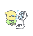 夏だ！セキセイインコちゃん（個別スタンプ：8）