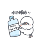 夏だ！セキセイインコちゃん（個別スタンプ：22）
