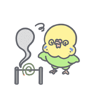 夏だ！セキセイインコちゃん（個別スタンプ：33）