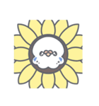 夏だ！セキセイインコちゃん（個別スタンプ：34）