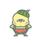 夏だ！セキセイインコちゃん（個別スタンプ：36）