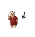 お猫様の吹き出しスタンプ9（個別スタンプ：3）